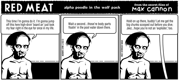alpha poodle in the wolf pack